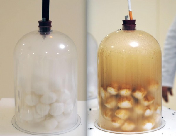 ��� ���� ������ �� �������� ���� ���� ������ �� ������� ���������