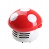 ���� �����