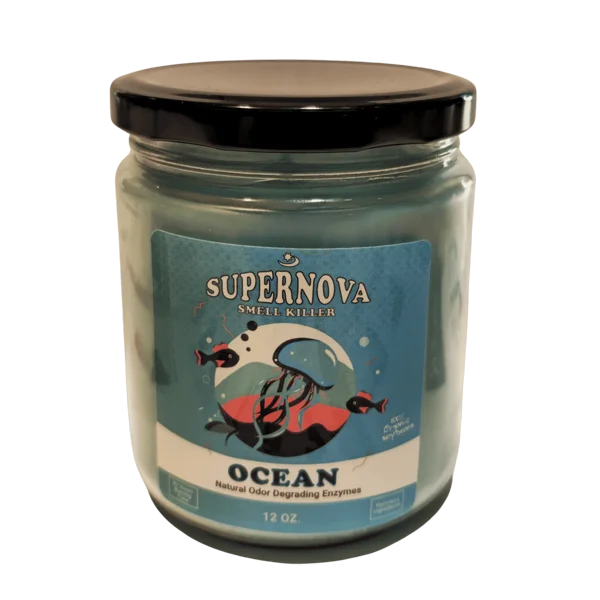 �� ����� �������� �� ������ Ocean