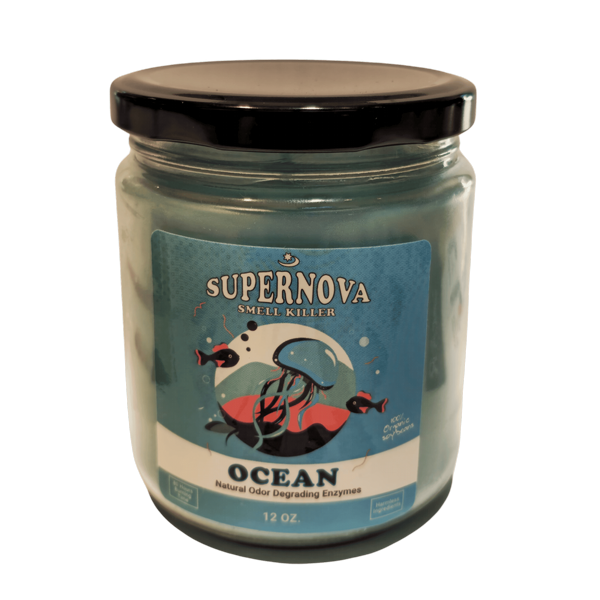 �� ����� �������� �� ������ Ocean