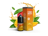 ���� ����� CBD ���� ����