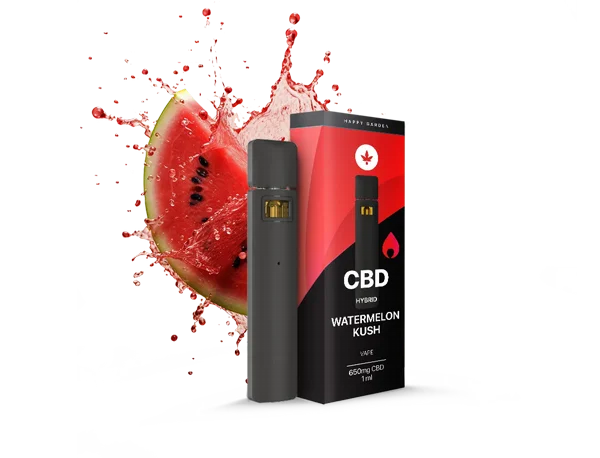 ����� CBD ���� �����