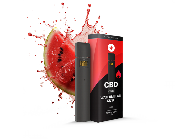 ���� ����� CBD ���� �����