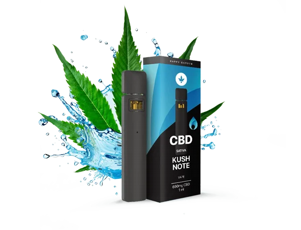 ���� CBD ���� ��� ���